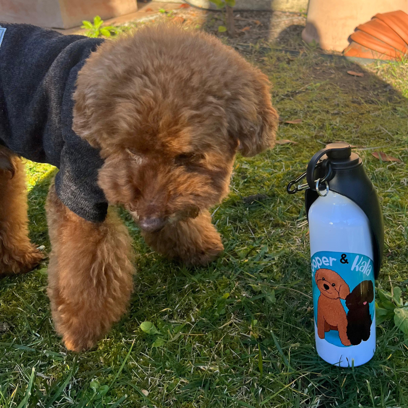 BOTELLA DE AGUA PARA PERROS LUGUELIZADA - Imagen 2