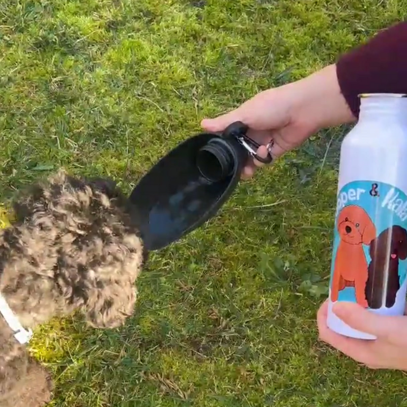 BOTELLA DE AGUA PARA PERROS LUGUELIZADA - Imagen 3